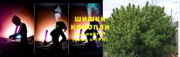 дживик Костерёво