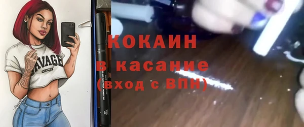 дживик Костерёво