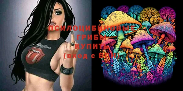дживик Костерёво
