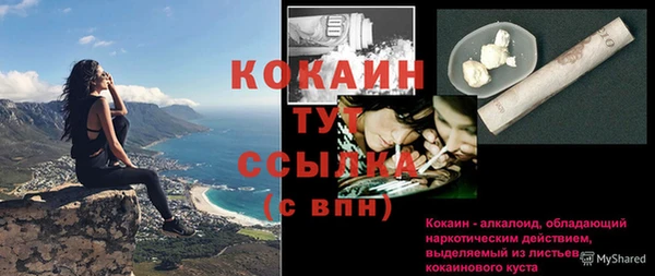 дживик Костерёво