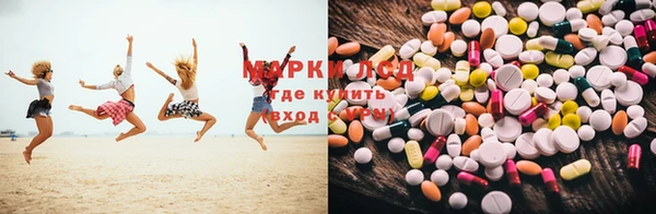 мяу мяу мука Коряжма