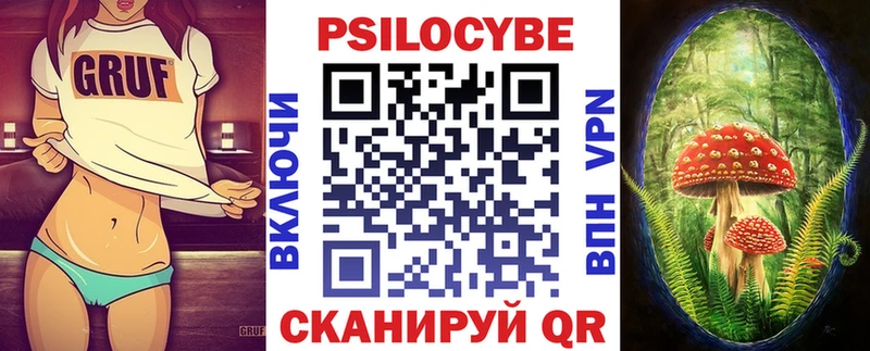 Псилоцибиновые грибы Psilocybe  Купить где  Хотьково 